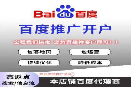 百度广告投放策略优化及成功案例解析